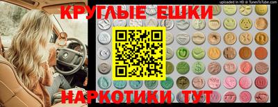 ECSTASY Гатчина
