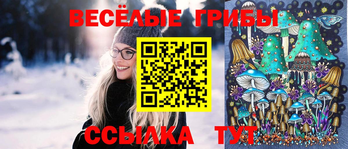 Галлюциногенные грибы MAGIC MUSHROOMS  Вход с VPN  Мурино 